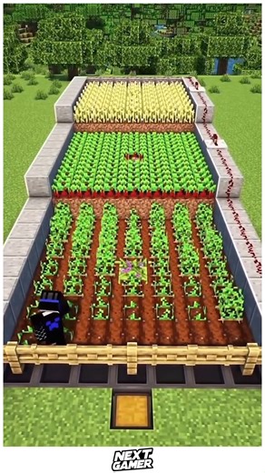 NextGamer on Instagram: "🌾 Efficient Minecraft Auto Crop Farm Build With Seamless Harvesting and Smart Water Timing ⚙️✨ Create a fully automated crop system using observer triggers, synchronized water flows, and compact hopper collection that keeps your farm running effortlessly. 🌱💧 Perfect for survival bases, food production halls, trading setups, and players who love blending smart mechanics with clean, organized layouts. 🌙🔧 #AutoCropFarm #MinecraftFarming #RedstoneIdeas #SurvivalBuilds #