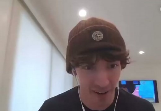 Glitch Flamingo - Albert Stuff Incident Explained