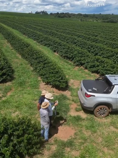 99.500 hektare lahan kopi diperluas. Pertanyaannya bukan cuma soal luas, tapi: siapa yang benar-benar menikmati hasilnya? #KopiIndonesia #PetaniKopi #IndustriKopi
