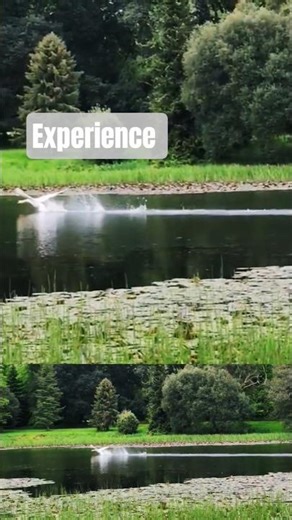 Ireland's Best kept SECRETS. #Ireland #Gardens