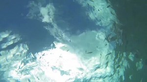 Maintenant Milo Moiré joue à la petite sirène