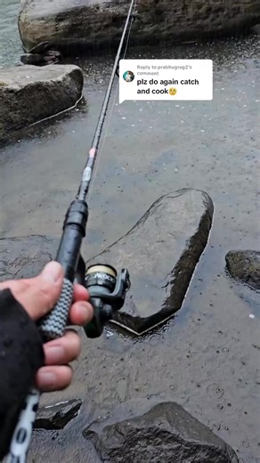 Catching some Rock Bass and cooking them 🐟🏕 #fishing #catchandcook #outdoors #outdoorlife #survival #selfreliance #outdoorcooking #camping #rockbass #panfish | Bushcraft Life
