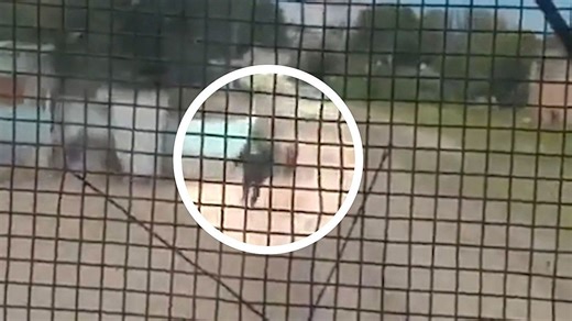 Officer's split-second dash prevents tragedy on railway tracks