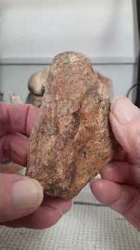 Rock art effigy totem Part 7 Fossilized Bones