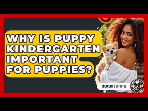 Why Is Puppy Kindergarten Important For Puppies? - Obedient Dog Guide
