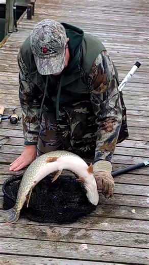 Unexpected Pike on the Line! Catch & Release