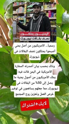 الأمريكيون من أصل يمني يمتلكون نصف بقالات نيويورك! كيف يساهمون في الاقتصاد الأمريكي؟