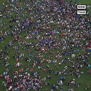 603K views · 2.8K reactions | More than 1,000 beagles and their humans gathered to set a new world record | NowThis | Facebook