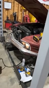 Decades of neglect couldn't keep this Mustang down. | Dylan McCool