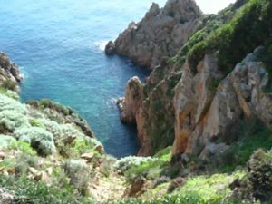 Skitarrate - Accordi Testi  - Como cheria BERTAS