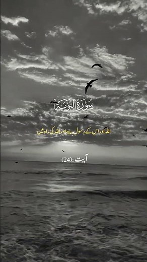 Qur’an with English Translation | Understand the Message of Allah #islamicshorts #allah