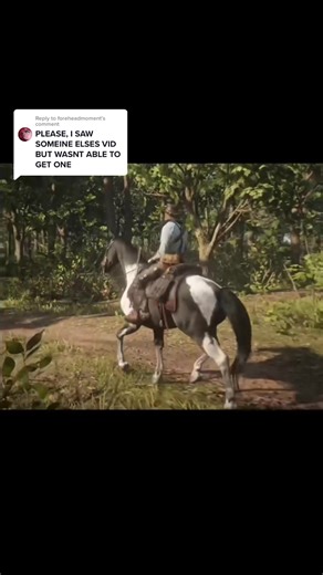 How to Get a Piebald Tobiano Hungarian Halfbred in RDR2