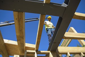 Why timber could still have a role to play in the buildings of the future