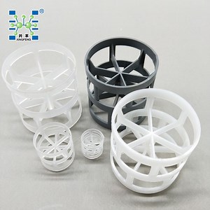 [Hot Item] Plastic Pall Ring (PP, PE, PVC, CPVC, PVDF, PTFE, PFA, FEP)