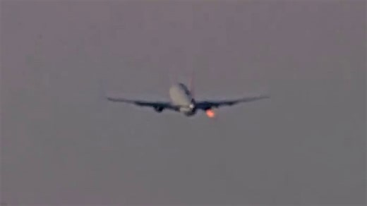 Video captures bird strike forcing Delta flight to declare emergency after takeoff