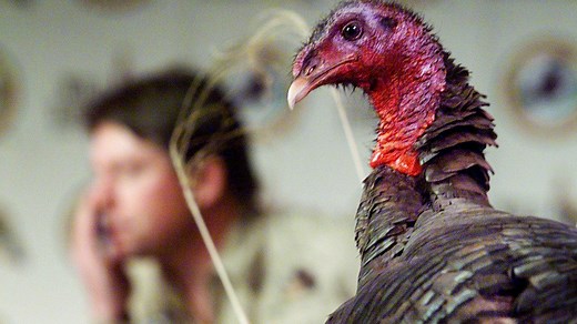 When can I hunt in Michigan? Here's a timeline of hunting seasons in Michigan