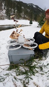 83K views · 249 reactions | Challenge accepted!  Can DJI Flip successfully fly across the flipped chessboard? ♟️ Watch and find out! : @sebastian_schieren #DJIFlip #Drone #Challenge #FlightSkills #ChessBoard | DJI | Facebook