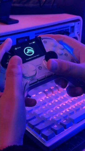 This Controller Has a Secret Screen!