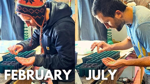 Succession Planting Strategy: How I Grew an $85,000 Garden on 1/3 Acre (Zone 5)