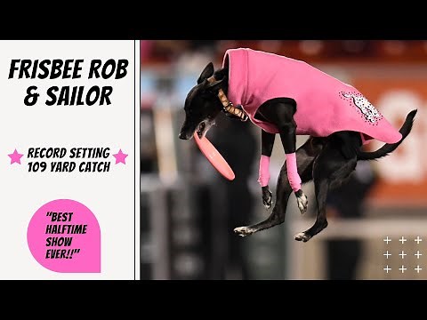 Best Halftime Show Ever - Frisbee Rob and Sailor the Touchdown Dog