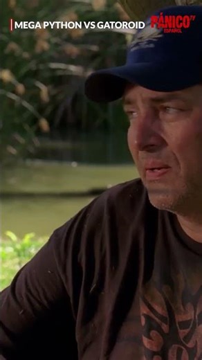 El Olor De La Muerte Los Atrae. MEGA PYTHON VS GATOROID #peliculas #terror #acción