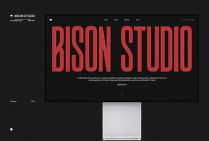 BISON STUDIO - Huy Phan
