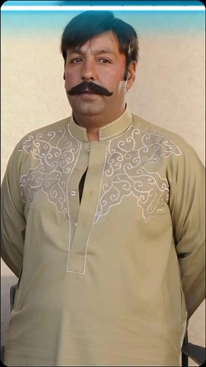 Fun Animal Compilation with Real Cheetah and Friends