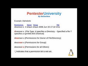 Linux Permissions - Explained in Plain English AND Simplified