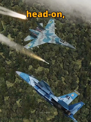 F-15 Eagle vs SU-27 Flanker Dogfight Simulation