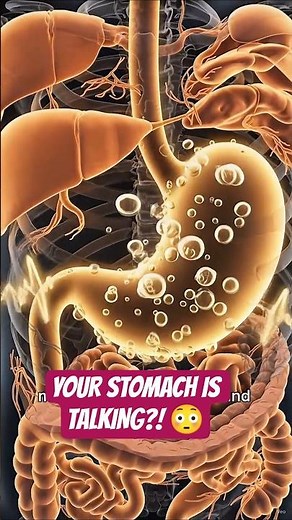 Why Your Stomach Makes Weird Noises 🤯 The Real Reason Behind Stomach Growling! #bloat #nutritionfact