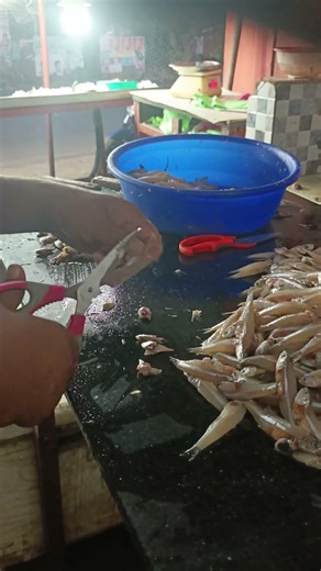 small fish cutting🐟🐟✂✂✂