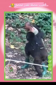 515K views · 2.7K reactions | أخيب حصلة  #fypシ #casablanca #video #viral #trendingreels #explorepage #trending #المغرب #لبنان #السعودية #فلسطين #العراق #سوريا #تونس #الامارات #ليبيا #مصر #الجزائر #إلياس_المالكي #life #news #trends #facebook #egypt #style #ترند #stars #comedy #smile #morocco | Trends - تـرنـدات | Facebook