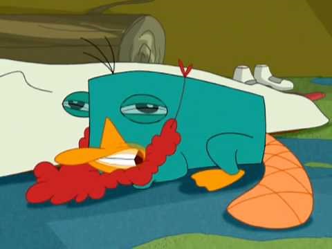 Perry Growl - Phineas and Ferb - Disney Channel Official