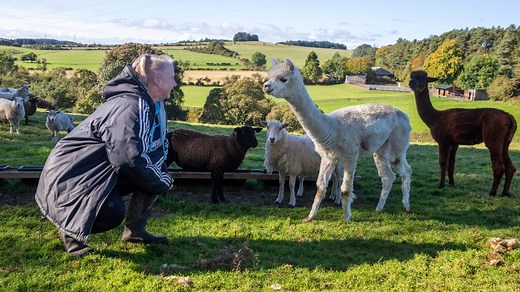 Pet lover and 100 rescue animals from ponies to parrots evicted from farm