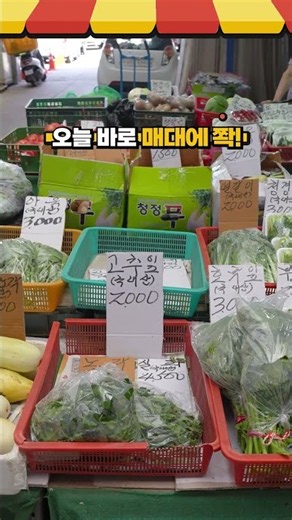 새벽 도매시장에서 직접 골라옵니다🥬 청주 싱싱식품