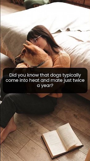 Discover how often dogs go into heat throughout the year