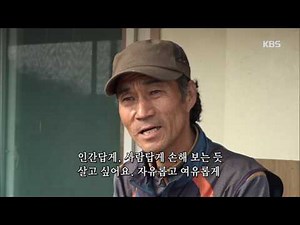 인간극장 – 쉬어갈수 있는 곳 초란도길~!