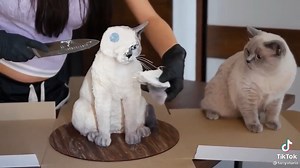 Oh no 🤣🤣🤣 | U Center