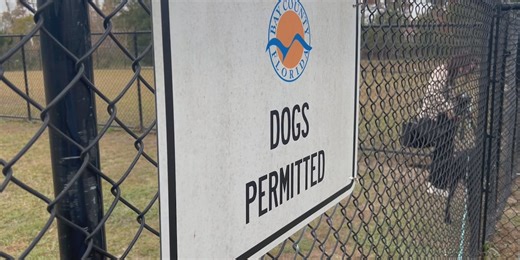 Panama City dog park adds obstacle course features for dogs