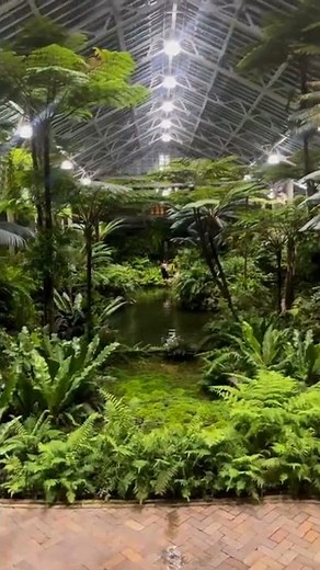 WOW! TROPICAL GARDEN