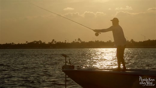 74 reactions | The Dolphin Fish Research Program is the world’s largest angler run investigation into the life and migrations of the species, and when it comes to tagging dolphin for this initiative, one captain in the Lower Keys is heads and tails above the rest. Watch more: https://www.saltwatersportsman.com/sponsored-post/protect-the-blue-faces-of-conservation-in-the-florida-keys-lower-keys/ | Salt Water Sportsman | Facebook