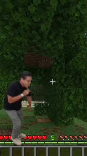 No tiene vergüenza 🤨⚡️ #minecraft #reelsviralシfb #minecraftmemes #humor #reelsvideo | Rayito GG