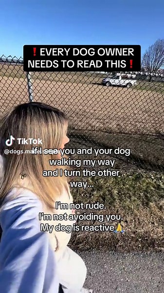Dogs Made Simple on TikTok