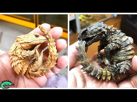 Les Reptiles Exotiques Les Plus Uniques Au Monde ! 🦎