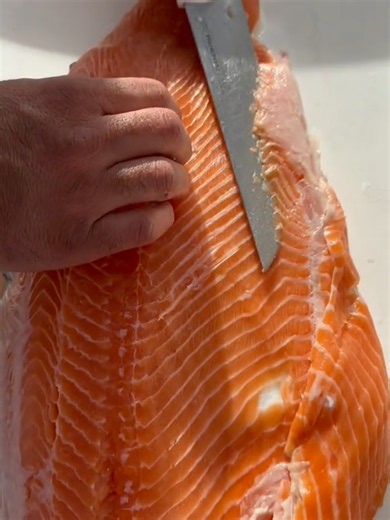 ‏#drfood | dr food