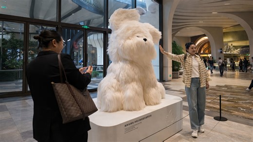 A large dog display becomes a photo point in China mall