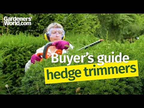 Hedge trimmers - Buyer's Guide