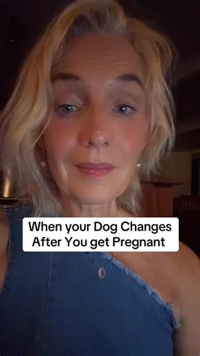 Christel Janssen on Instagram: "When your dog changes after you get pregnant—it’s not just behavior. It’s soul work. Rain is an Anatolian Shepherd. After her human became pregnant, she began acting differently—attacking chickens, afraid of sheep. But this wasn’t misbehavior. It was misdirected devotion. In this video, I read a transmission from the baby to Rain herself, and explain what really happens when an animal senses a baby’s soul arriving. This is about instinct, soul placement, and the u