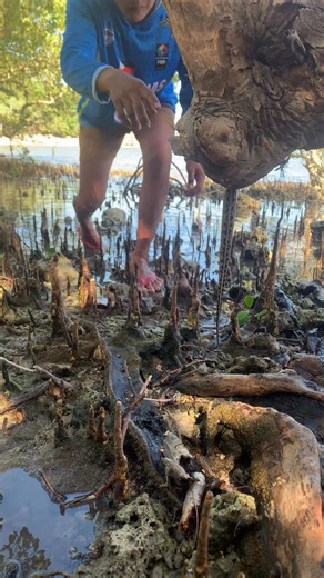 Boss Joey Vlog on Instagram: "😱😱 #Amizing #fblifestyle"