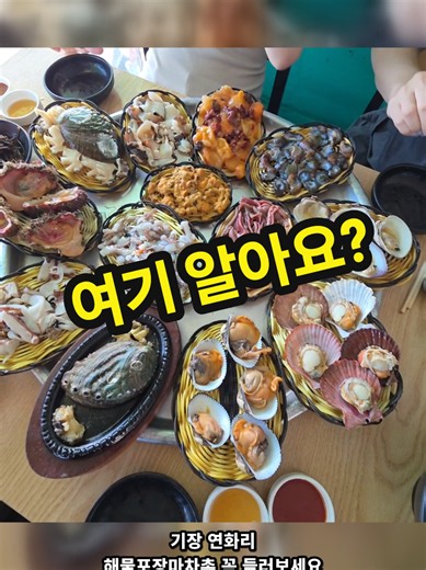여기 알아요? 전복회 3만원에 이 상차림? 부산 기장 포장마차 실화 🦑 부산 기장군 연화리 해물포장마차촌 전복죽 12,000 · 전복회 30,000 · 전복구이 30,000 · 삶은고둥 20,000 바다 뷰 앞에서 즐기는 해산물 한 상, 리뷰 1,300개 넘는 이유 있었네요 📍 부산 기장읍 연화1길 182-1 #부산맛집 #기장맛집 #연화리맛집 #해물포장마차촌 #부산여행 전복맛집 부산가볼만한곳 가성비맛집 틱톡맛집 숏츠